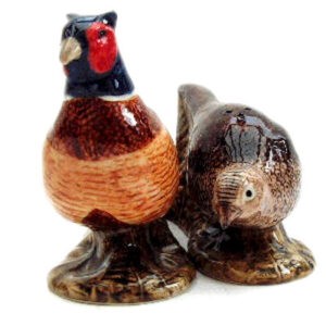 Pheasant Salt and Pepper Shakers by Quail Ceramics