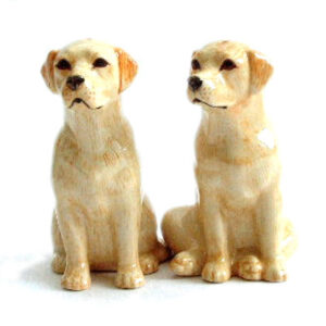 Golden Labradors Salt and Pepper Set by Quail Ceramics