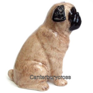 Domestic Animals and Pets