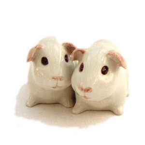 White Guinea Pig Salt and Pepper Cruet by Quail Ceramics