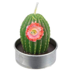 Cactus With Pink Flower Tea-Light