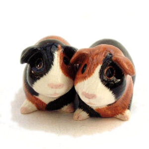 Multi-coloured Guinea Pig Salt and Pepper Shakers by Quail Ceramics