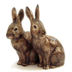 Wild Rabbits Salt and Pepper Pots from Quail Ceramics