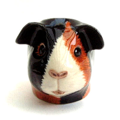 Multi-coloured Guinea Pig's Head Egg-cup by Quail Ceramics