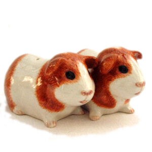 Domestic Animals Salt and Pepper