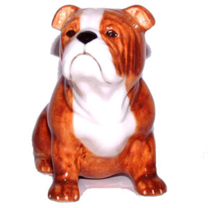 English Bulldog Moneybox by Quail Ceramics