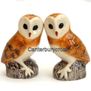 Wild Birds Salt and Pepper Pots