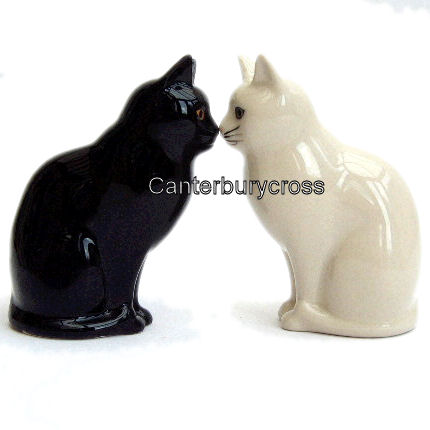Daisy and Lucky Black and White Cats Novelty Salt and Pepper Pot by Quail Ceramics - Image 2