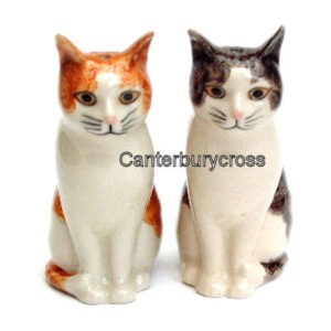 Cat and Moggy Salt and Peppers