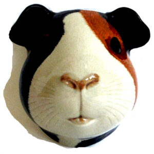 Guinea Pig Wall Vase multi-coloured) by Quail Ceramics