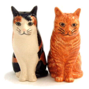 Tabby and Ginger Cats Eleanor and Vincent Novelty Salt and Pepper Pots by Quail Ceramics