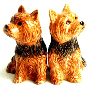 Yorkshire Terrier Cruet/Salt and Pepper Shakers by Quail Ceramics