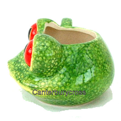 Tree Frog's Head Novelty 3D Mug - Jungle Explorer - Image 3