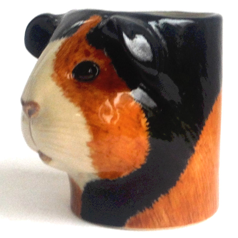 Guinea Pig Pencil Pot