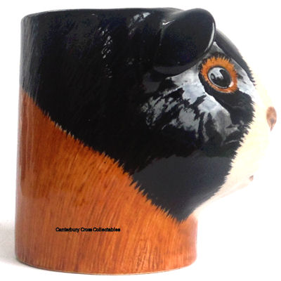 Guinea Pig Pencil Pot