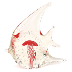 Angel fish with red jelly fisn
