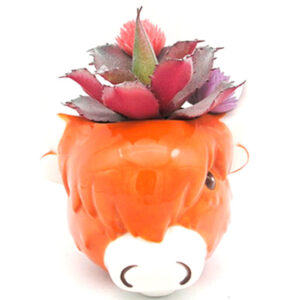 Highland Cow Wall Vase