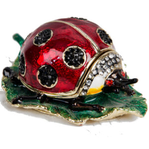 Ladybird Treasured Trinket