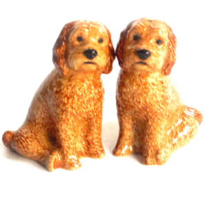 Apricot Cockapoo Novelty Salt and Pepper Pots by Quail Ceramics