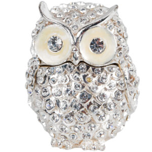 Treasured Trinket Owl with All-Over Crystals from the Juliana Collection