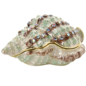 Conch Shell Treasured Trinket Box from Juliana