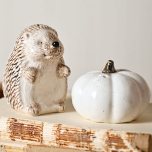 Hedgehog and Pumpkin Salt and Pepper Set by Country Living