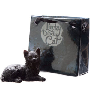Lying Down Lucky Black Cat in Mini Gift Bag