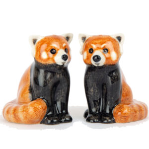 Red Panda Novelty Cruet/Salt and Pepper Pots from Quail Ceramics