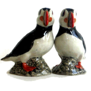 Puffins on Rocks Novelty Salt and Pepper Pots from Quail Ceramics
