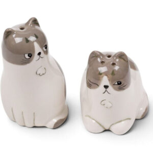 Beans and Co Novelty Salt and Pepper Pots - Gatsby the Cat